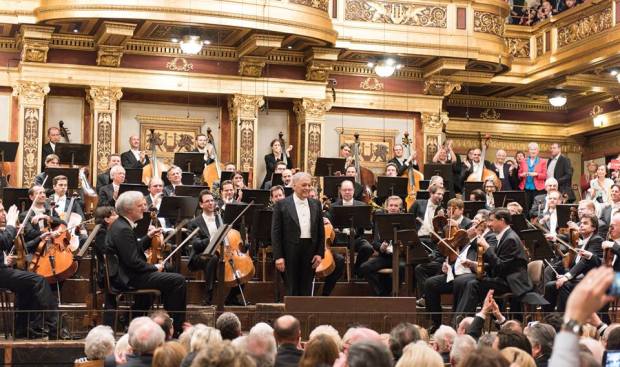 13102747_1029198500491292_1024485435559129638_n